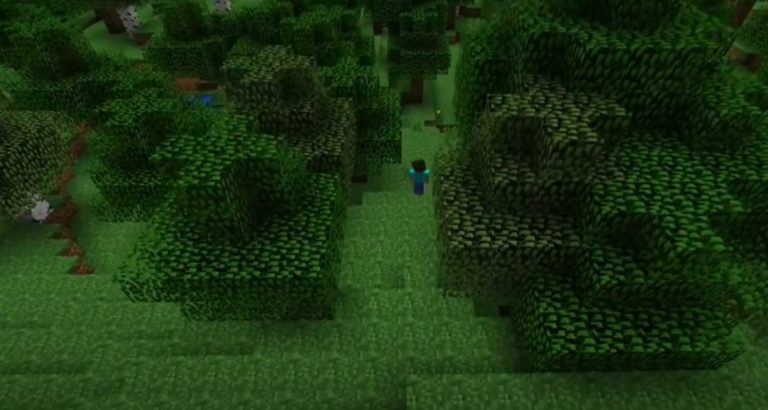 Corriger l’erreur d’installation de Minecraft 0x80070424, 0x80131509, 0x80070057