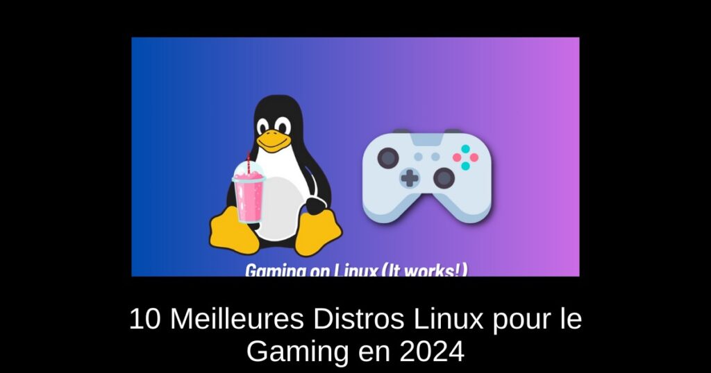 10 Meilleures Distros Linux pour le Gaming en 2024