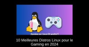 10 Meilleures Distros Linux pour le Gaming en 2024