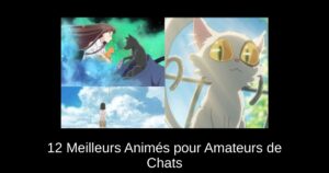 12 Meilleurs Animés pour Amateurs de Chats