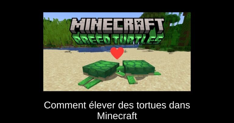 Comment élever des tortues dans Minecraft