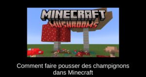 Comment faire pousser des champignons dans Minecraft