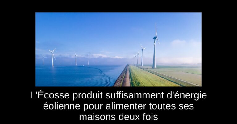 L'Écosse produit suffisamment d'énergie éolienne pour alimenter toutes ses maisons deux fois