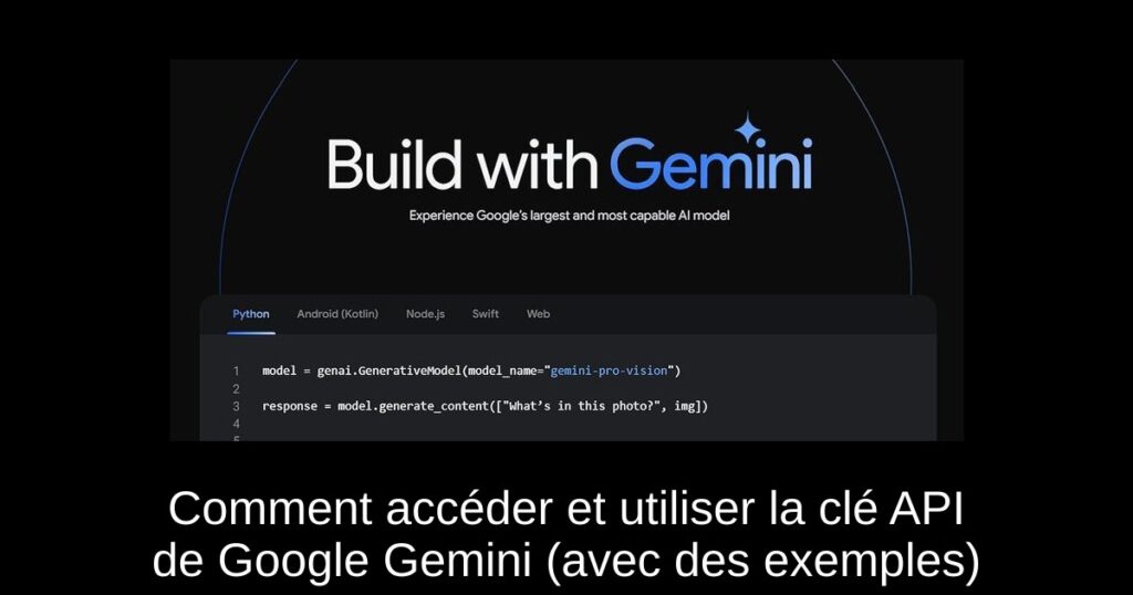 Comment accéder et utiliser la clé API de Google Gemini (avec des exemples)