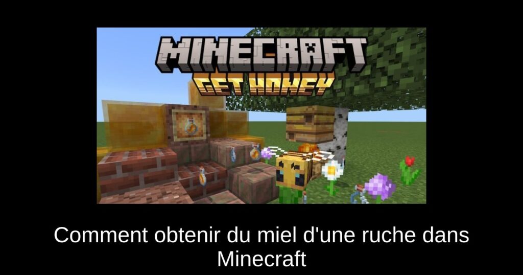 Comment obtenir du miel d’une ruche dans Minecraft
