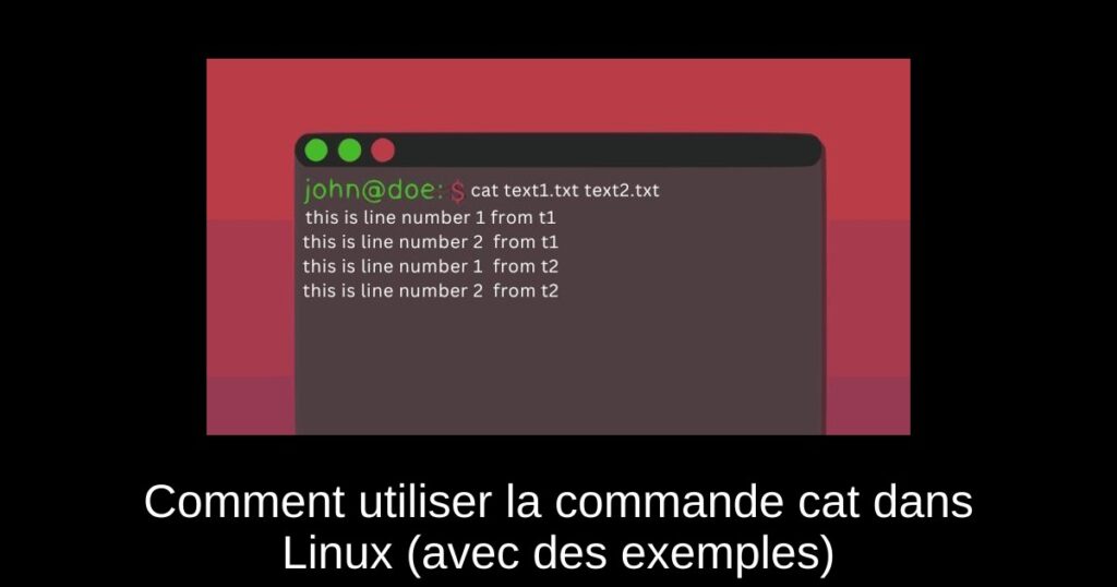 Comment utiliser la commande cat dans Linux (avec des exemples)