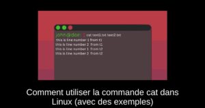 Comment utiliser la commande cat dans Linux (avec des exemples)