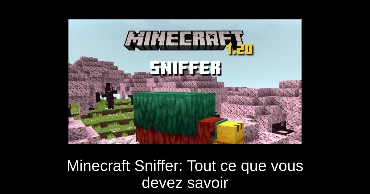 Minecraft Sniffer: Tout ce que vous devez savoir