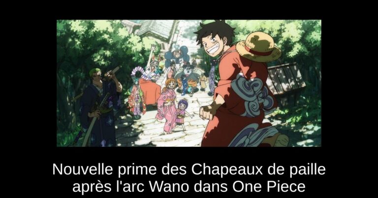 Nouvelle prime des Chapeaux de paille après l'arc Wano dans One Piece