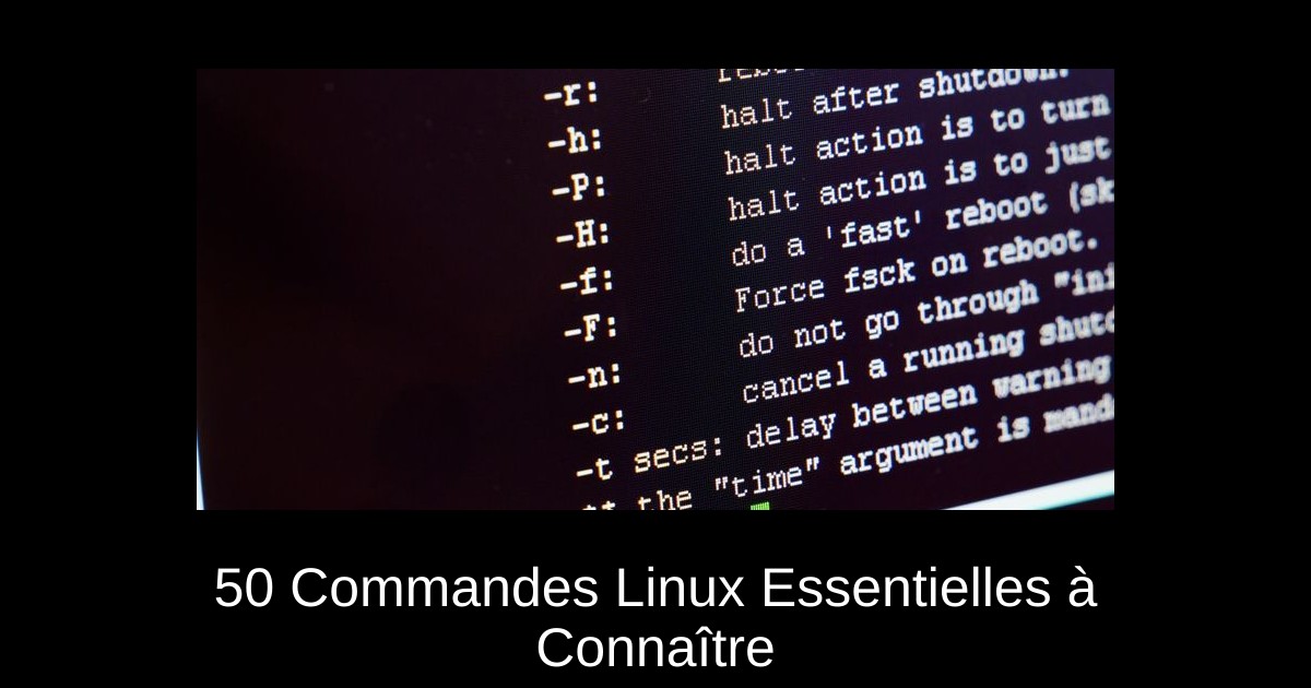 50+ Commandes Linux Essentielles à Connaître