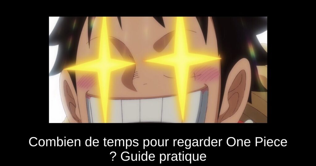 Combien de temps pour regarder One Piece ? Guide pratique