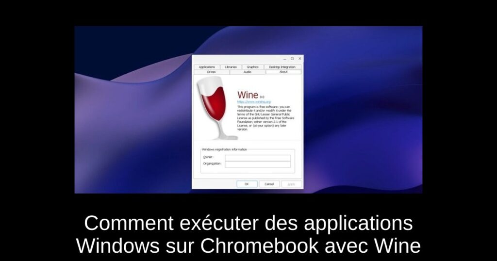 Comment exécuter des applications Windows sur Chromebook avec Wine