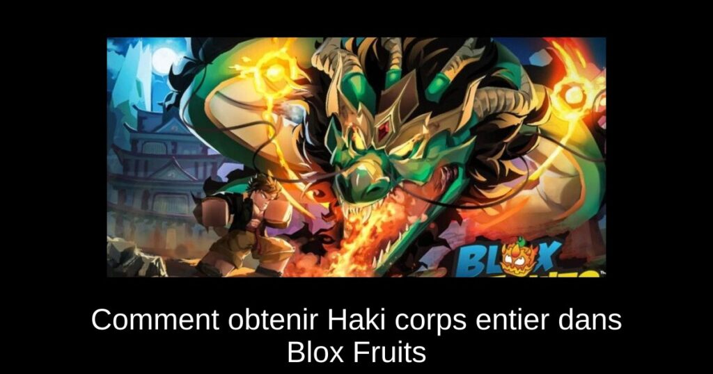 Comment obtenir Haki corps entier dans Blox Fruits