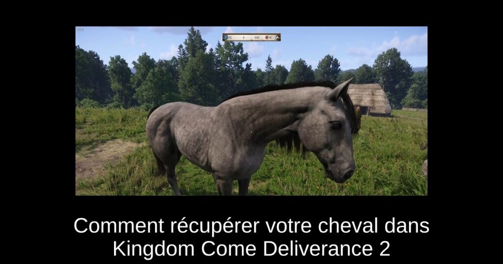 Comment récupérer votre cheval dans Kingdom Come Deliverance 2