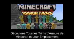 Découvrez Tous les Trims d’Armure de Minecraft et Leur Emplacement
