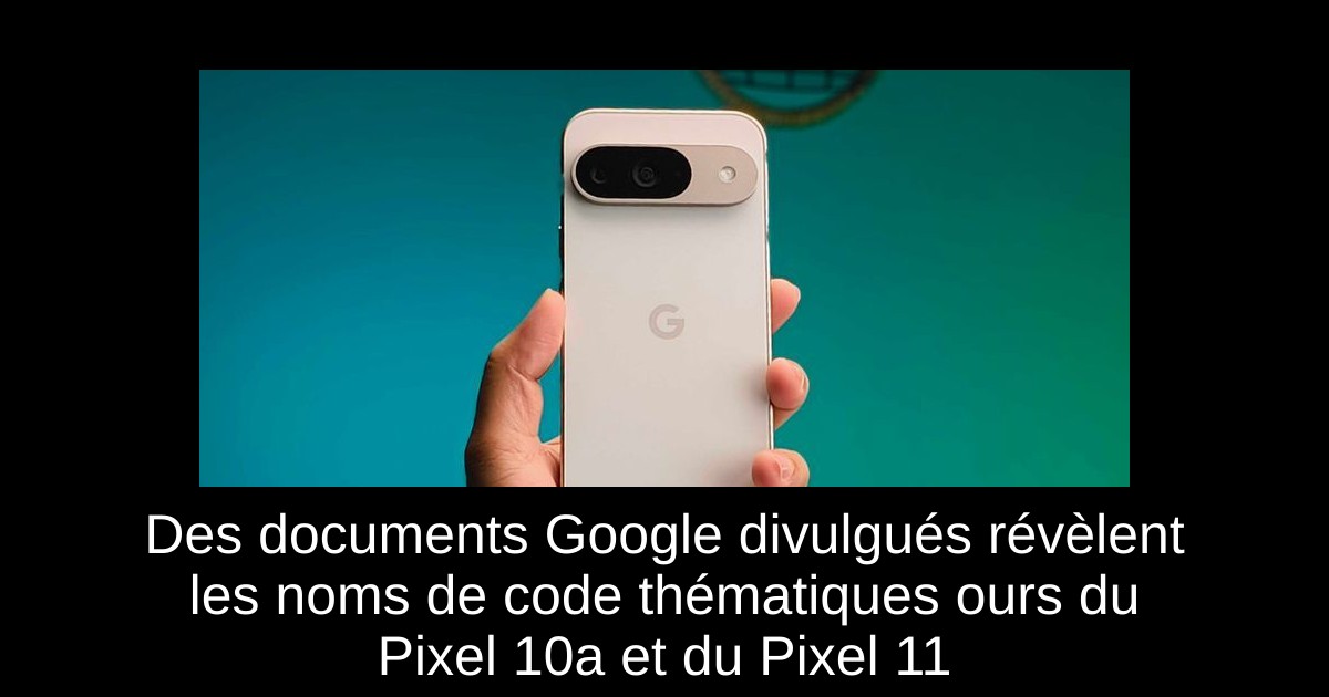 Des documents Google divulgués révèlent les noms de code thématiques ours du Pixel 10a et du Pixel 11