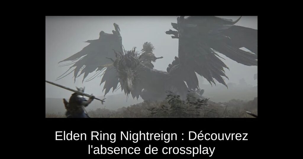 Elden Ring Nightreign : Découvrez l’absence de crossplay