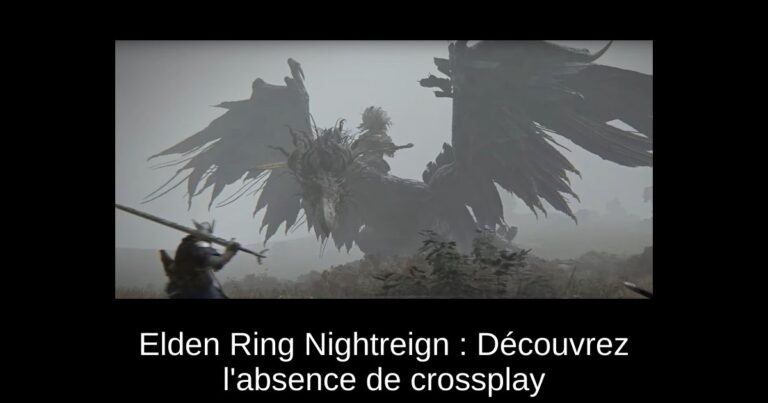Elden Ring Nightreign : Découvrez l'absence de crossplay