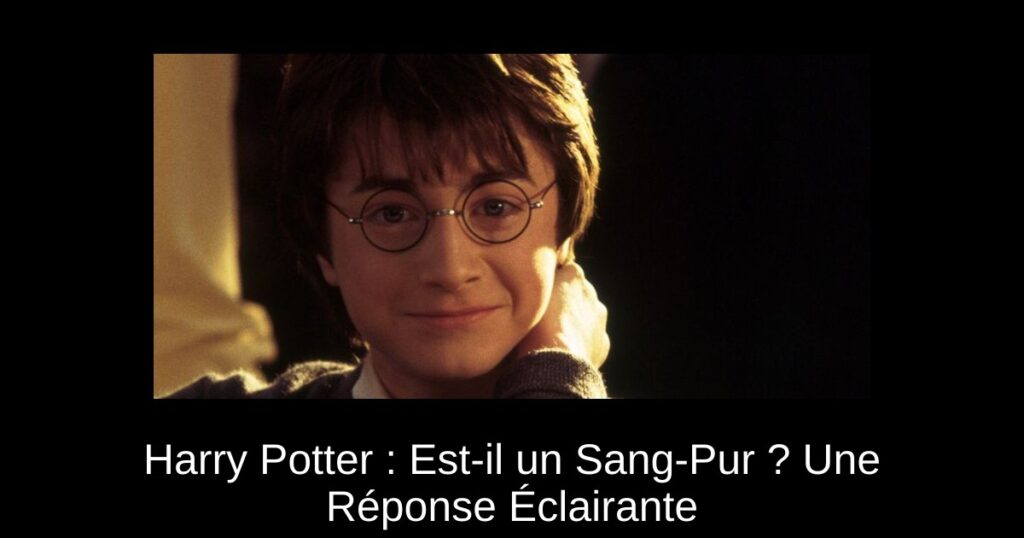 Harry Potter : Est-il un Sang-Pur ? Une Réponse Éclairante