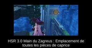 HSR 3.0 Main du Zagreus : Emplacement de toutes les pièces de caprice