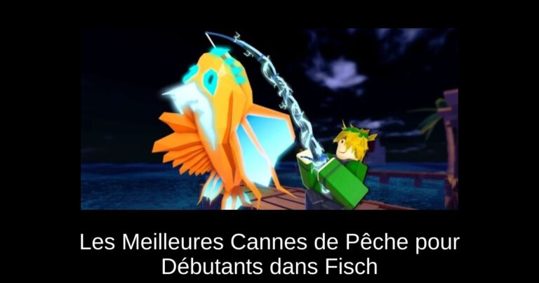 Les Meilleures Cannes de Pêche pour Débutants dans Fisch