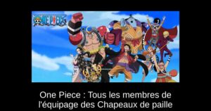 One Piece : Tous les membres de l’équipage des Chapeaux de paille