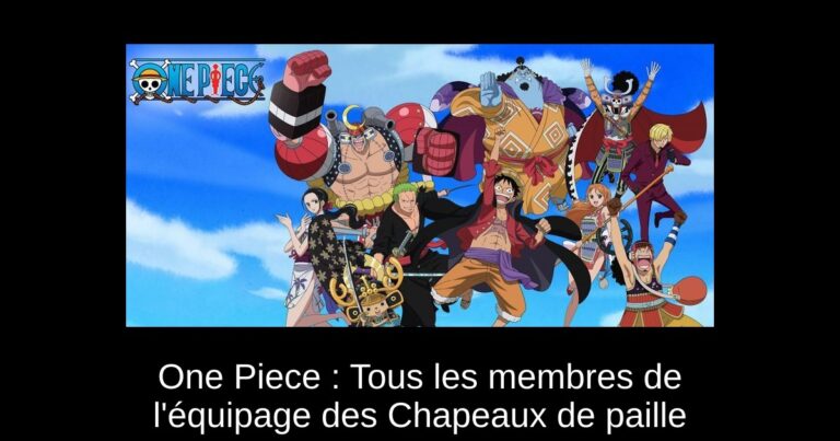 One Piece : Tous les membres de l'équipage des Chapeaux de paille