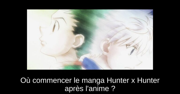 Où commencer le manga Hunter x Hunter après l'anime ?