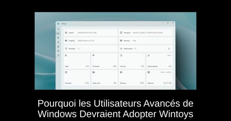 Pourquoi les Utilisateurs Avancés de Windows Devraient Adopter Wintoys