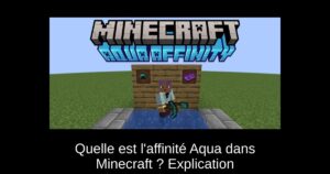 Quelle est l’affinité Aqua dans Minecraft ? Explication