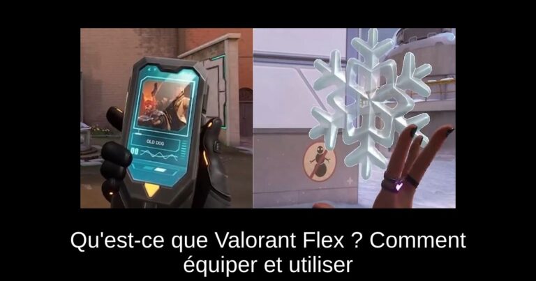 Qu'est-ce que Valorant Flex ? Comment équiper et utiliser