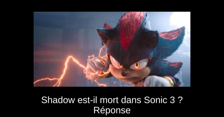 Shadow est-il mort dans Sonic 3 ? Réponse