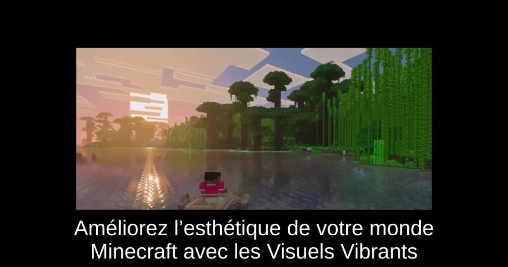 Améliorez l’esthétique de votre monde Minecraft avec les Visuels Vibrants