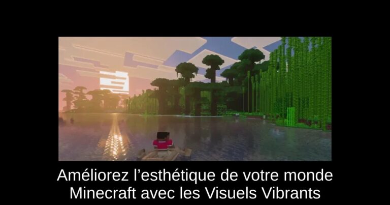 Améliorez l’esthétique de votre monde Minecraft avec les Visuels Vibrants