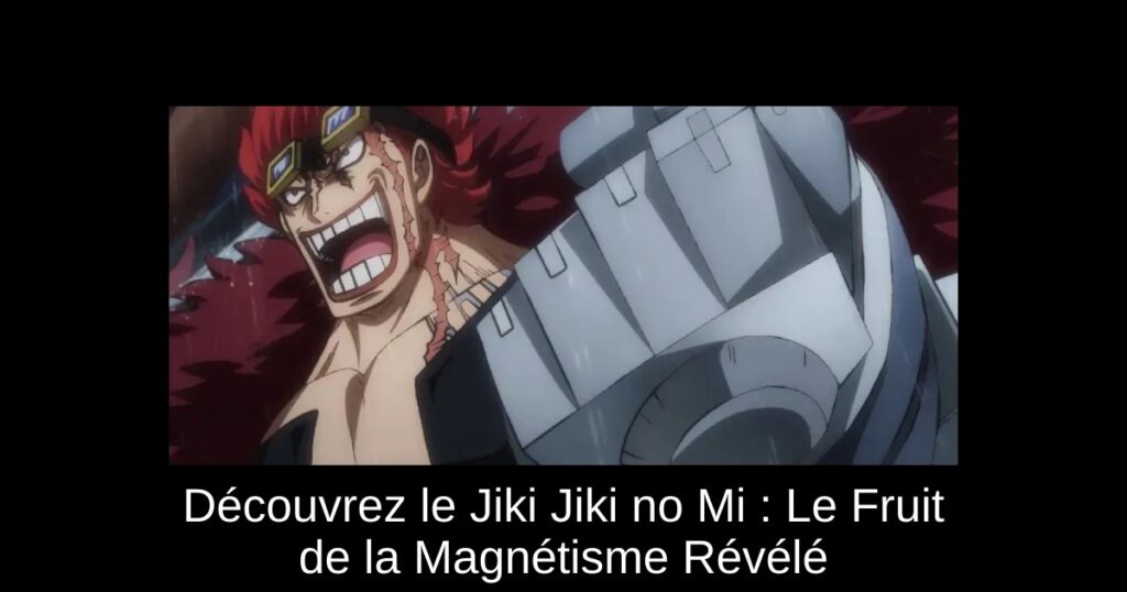 Découvrez le Jiki Jiki no Mi : Le Fruit de la Magnétisme Révélé