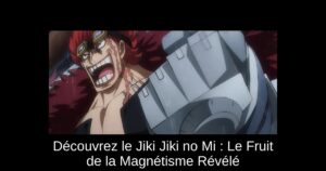 Découvrez le Jiki Jiki no Mi : Le Fruit de la Magnétisme Révélé