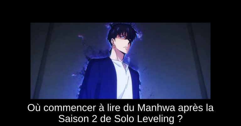 Où commencer à lire du Manhwa après la Saison 2 de Solo Leveling ?