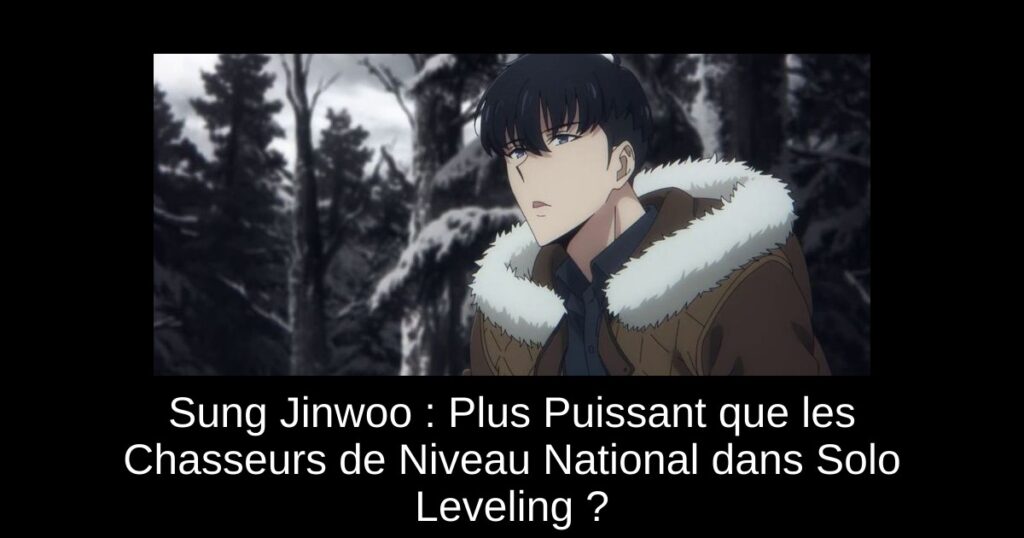 Sung Jinwoo : Plus Puissant que les Chasseurs de Niveau National dans Solo Leveling ?