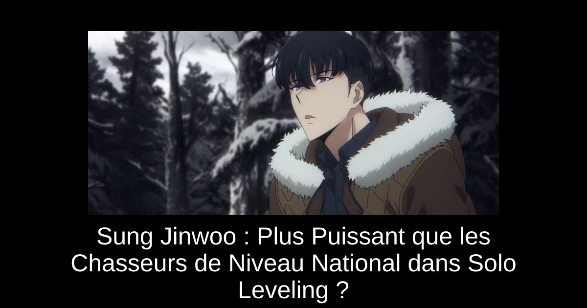 Sung Jinwoo : Plus Puissant que les Chasseurs de Niveau National dans Solo Leveling ?