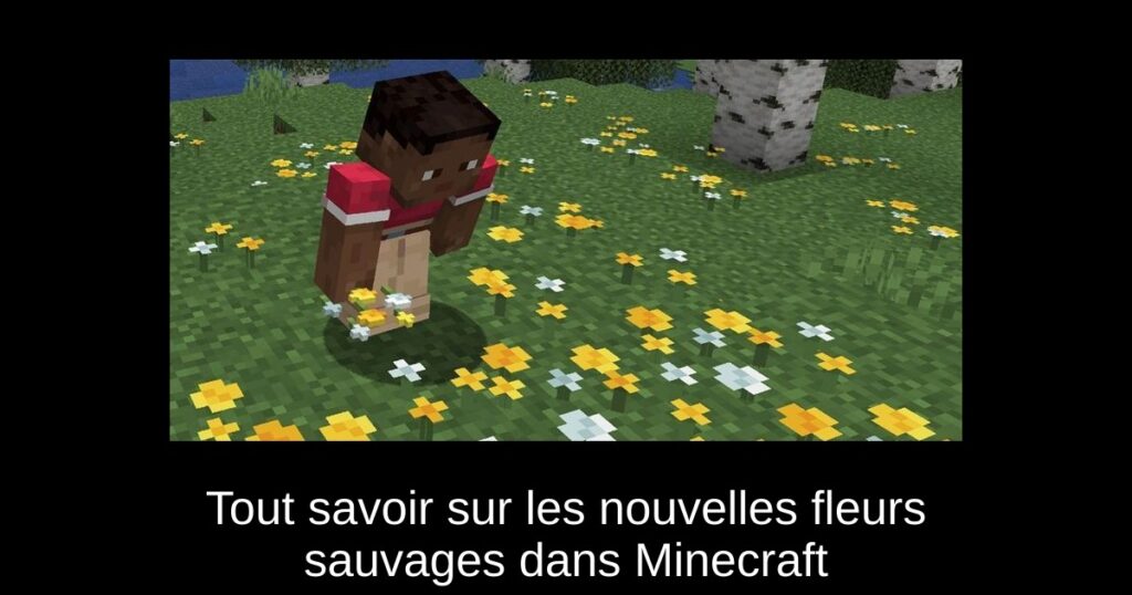 Tout savoir sur les nouvelles fleurs sauvages dans Minecraft