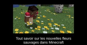 Tout savoir sur les nouvelles fleurs sauvages dans Minecraft