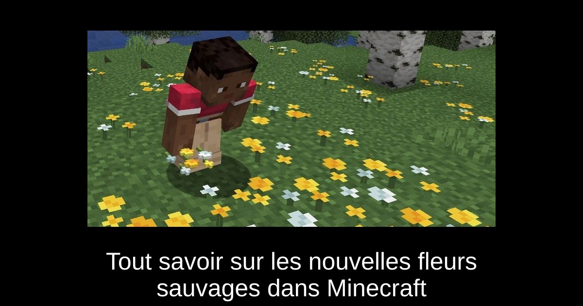 Tout savoir sur les nouvelles fleurs sauvages dans Minecraft