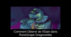 Comment Obtenir de l’Étain dans RuneScape Dragonwilds
