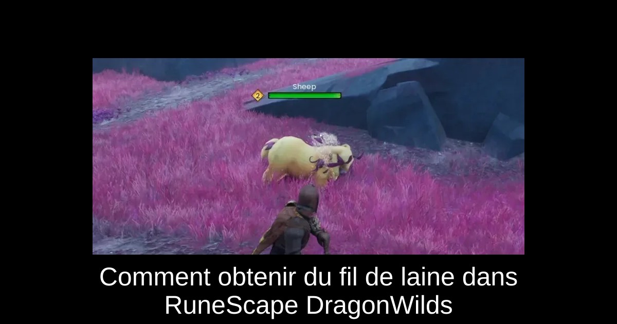 Comment obtenir du fil de laine dans RuneScape DragonWilds