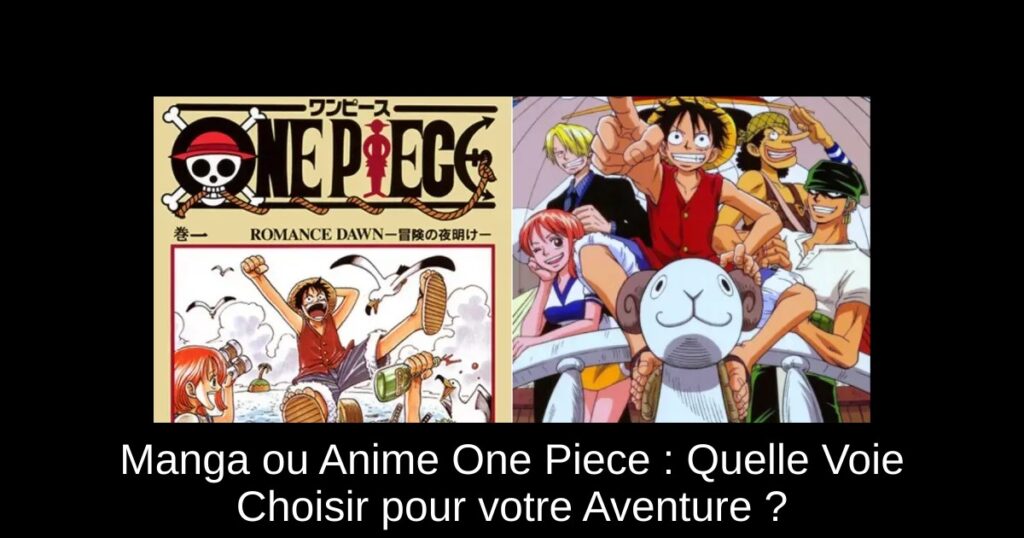 Manga ou Anime One Piece : Quelle Voie Choisir pour votre Aventure ?