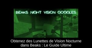 Obtenez des Lunettes de Vision Nocturne dans Beaks : Le Guide Ultime