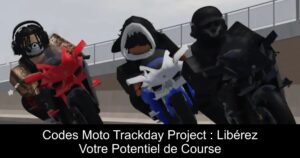Codes Moto Trackday Project : Libérez Votre Potentiel de Course