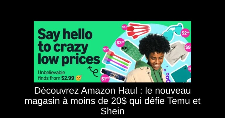 Découvrez Amazon Haul : le nouveau magasin à moins de 20$ qui défie Temu et Shein