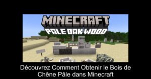 Découvrez Comment Obtenir le Bois de Chêne Pâle dans Minecraft