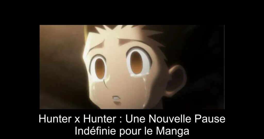 Hunter x Hunter : Une Nouvelle Pause Indéfinie pour le Manga